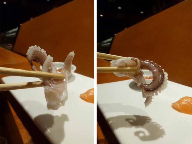 Octopus at Sushi Dojo on the Chef's Special Sushi