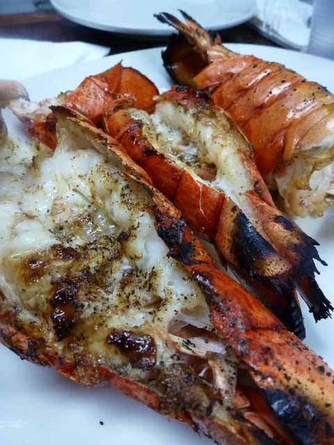 grilled lobster tails at Astoria Seafood